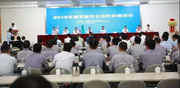 上海互聯(lián)網(wǎng)軟件集團(tuán) 高端協(xié)同管理軟件與信息咨詢(xún)服務(wù)的領(lǐng)航者