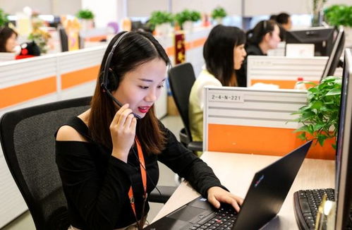 6類適合“老實人”的工作 在信息咨詢服務領域，找到人際關系簡單、工資高又能做長久的職業港灣